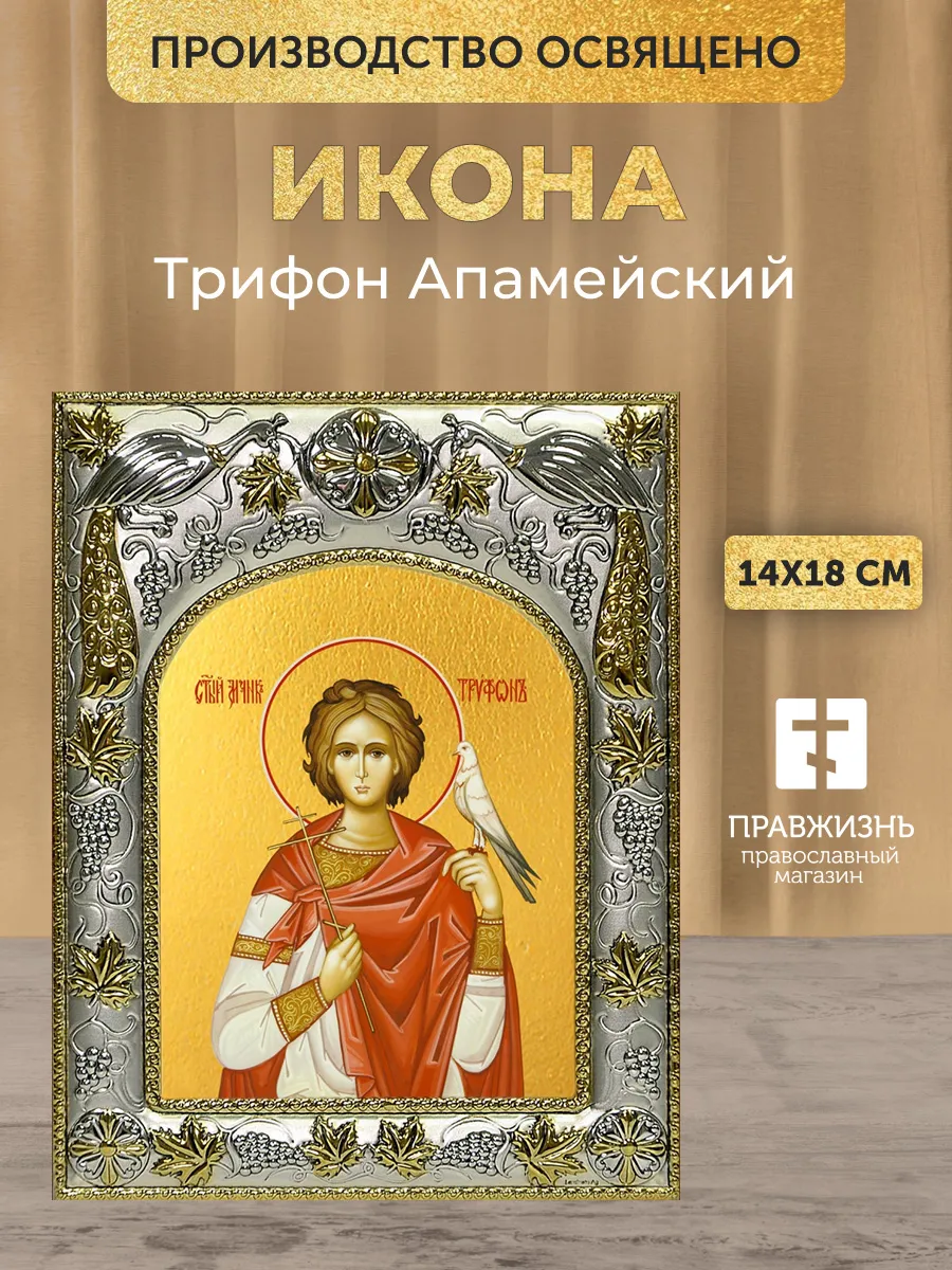 Икона Трифон Апамейский в ризе, 18х14 см