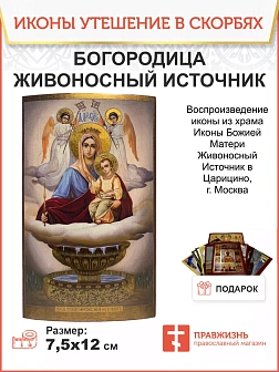 Икона Пресвятая Богородица Живоносный Источник дерево 15х24 см