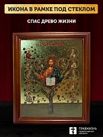 Икона Спас Древо Жизни с золочением, деревянная рамка со стеклом 15х18х2 см