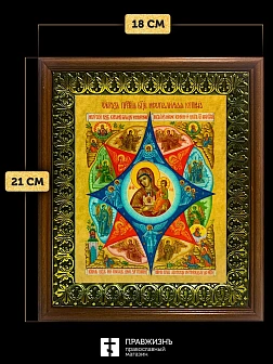Икона Божией Матери Неопалимая Купина, деревянная рамка с басмой и стеклом 18х21х2,5 см 181