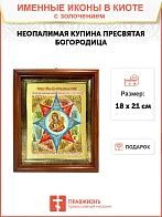 Икона Божией Матери "Неопалимая Купина" с золочением поталью, 03045-УЛ