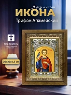 Икона Трифон Апамейский в ризе и деревянном киоте, 26х22 см