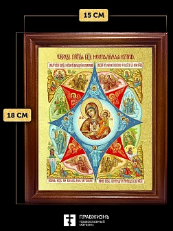 Икона Божией Матери Неопалимая Купина  с золочением, деревянная рамка со стеклом 15х18х2 см 181