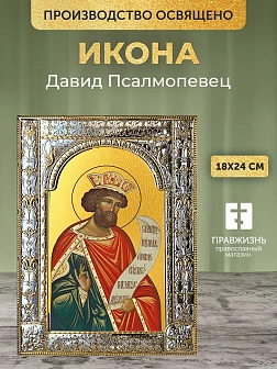 Икона Давид Псалмопевец в ризе, 18x24 см