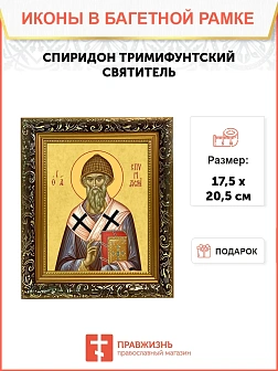 Икона Спиридон Тримифунтский святитель, узкая рамка 17,5х20,5х2 см 135