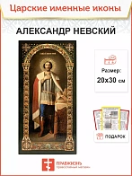 Икона Александр Невский 20х30 (020)