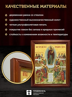 Икона Божией Матери Всех Скорбящих Радость, деревянная рамка со стеклом 15х18х2 см 153