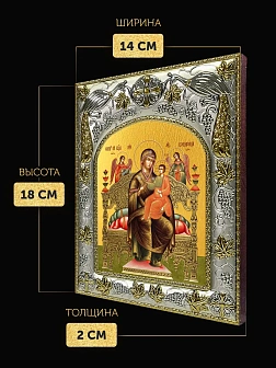 Икона Всецарица Божия Матерь в ризе, 18х14 см
