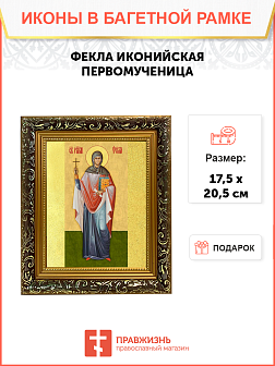 Образ святой Феклы Иконийской и Селевкийской, равноапостольной первомученицы, 13Ф1