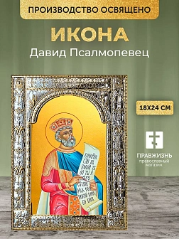 Икона Давид Псалмопевец в ризе, 18x24 см