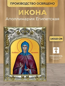 Икона Аполлинария Египетская в ризе, 18х14 см