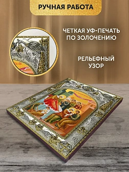 Икона Рождество Божией Матери в ризе, 18х14 см