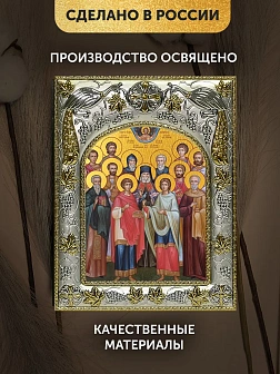 Икона Собор Святых Целителей в ризе, 18х14 см