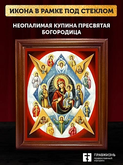 Икона Божией Матери Неопалимая Купина с золочением, деревянная рамка со стеклом 15х18х2 см 181