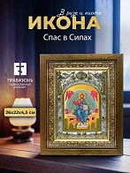Икона Спас в Силах в ризе и деревянном киоте, 26х22 см