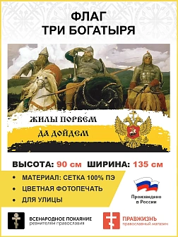 Флаг 239 Три Богатыря Жилы порвем да дойдем триколор 90х135 материал сетка для улицы