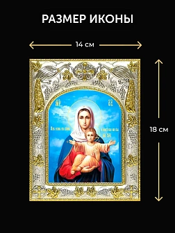 Икона Леушинская Божия Матерь в ризе и деревянном киоте, 26х22 см