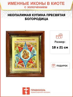 Икона Божией Матери "Неопалимая Купина" с золочением поталью, 03045-УЛ