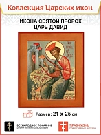 Царская Икона 008 Царь Давид 21х24,5 159 Царская Икона 008 Царь Давид 21х24,5 159