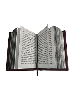 Подарочный набор книг в кожаном переплете: Евангелие 09.35 и Псалтирь 08.03 цвет бордовый