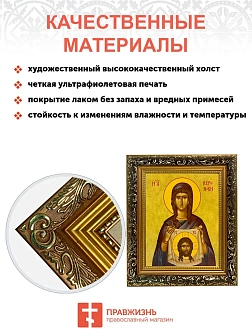 Икона Вероника Кровоточивая праведная, узкая рамка 17,5х20,5х2 см 045А