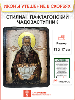 Икона Преподобный Стилиан Пафлагонский
