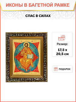 Икона Господа Иисуса Христа Спас в Силах, узкая рамка 17,5х20,5х2 см 1129