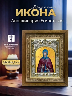 Икона Аполлинария Египетская в ризе и деревянном киоте, 26х22 см