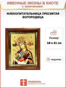 Икона Млекопитательница Божия Матерь Икона Млекопитательница Божия Матерь