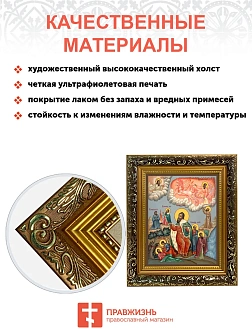 Икона Илии Фесвитянин пророк, узкая рамка 17,5х20,5х2 см 077