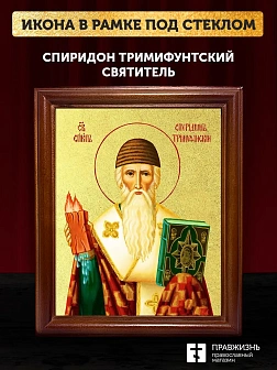 Икона Спиридон Тримифунтский святитель с золочением, деревянная рамка со стеклом 15х18х2 см 135