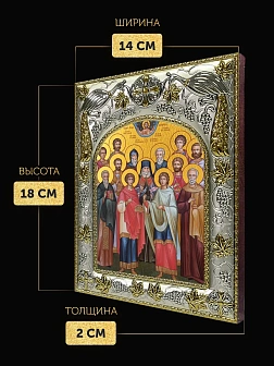 Икона Собор Святых Целителей в ризе, 18х14 см