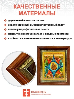 Икона Божией Матери Неопалимая Купина в киоте 18х21х4 см 181