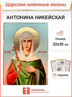 Икона Антонина Никейская 22х30 (030) Икона Антонина Никейская 22х30 (030)