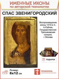 Икона Спас из Деисусного чина Звенигородский дерево 16х24 см