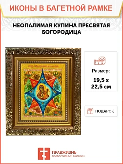 Икона Божией Матери Неопалимая Купина, широкая рамка 19,5х22,5х2 см 181