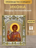 Икона Феодор Антиохийский в ризе, 18х14 см
