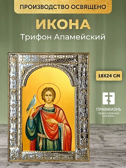 Икона Трифон Апамейский в ризе, 18x24 см