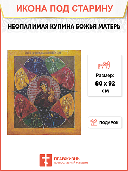 Икона Божьей Матери Неопалимая Купина