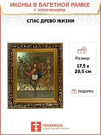 Икона Спас Древо Жизни