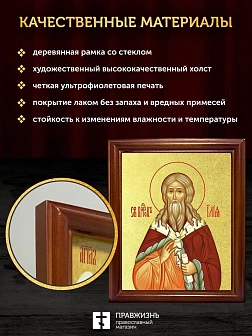 Икона Илия Фесвитянин пророк с золочением, деревянная рамка со стеклом 15х18х2 см 077
