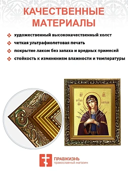 Икона Божией Матери "Семистрельная" с золочением поталью, 03065-УЛ