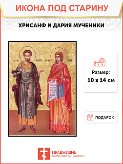 Икона Хрисанфа и Дарии Икона Хрисанфа и Дарии