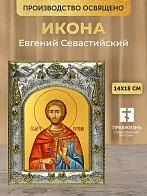 Икона Евгений Севастийский в ризе, 18х14 см