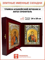 Икона складень Трифон Апамейский и Ангел Хранитель 140