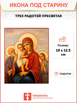 Икона Трех Радостей Икона Трех Радостей