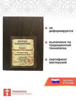 Икона Пресвятая Богородица Избавление от бед страждущих 13х18 см