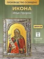 Икона Илья Пророк в ризе, 18x24 см