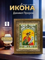 Икона Даниил Пророк в ризе и деревянном киоте, 26х22 см