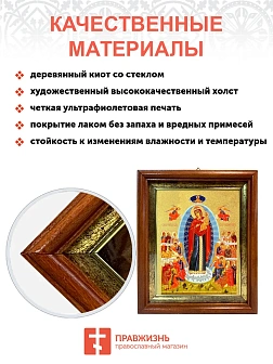 Икона Всех скорбящих Радость Божия Матерь Икона Всех скорбящих Радость Божия Матерь